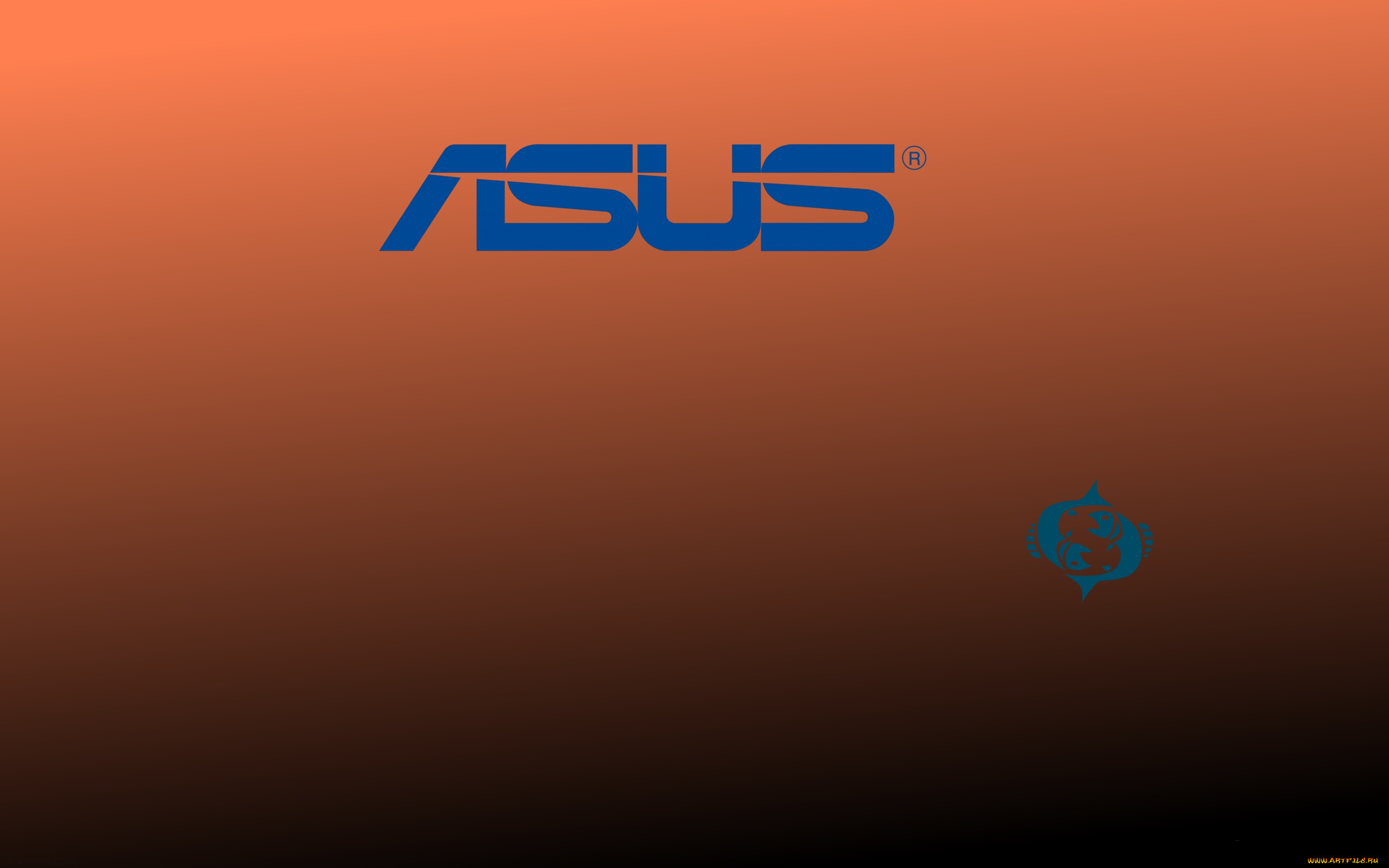 , asus, , 